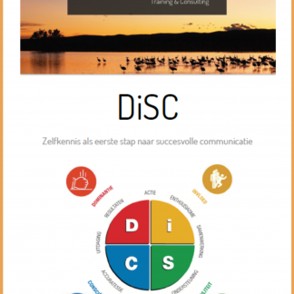 Cover e-book DiSC