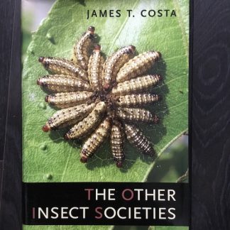 The other insect societies